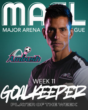 Image post by @stlouisambush on Instagram