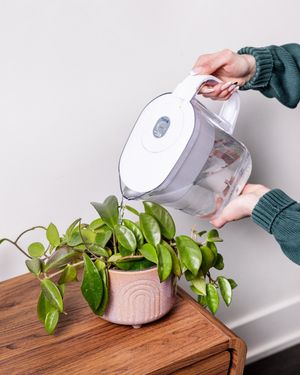 Image post by @brita.canada on Instagram