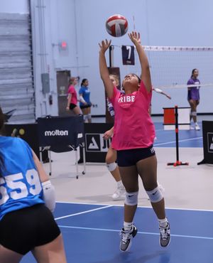 Image post by @mytribevolleyball on Instagram
