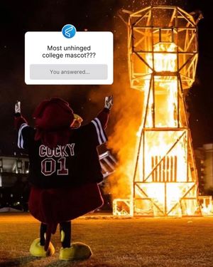 Image post by @commonapp on Instagram