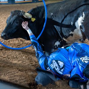Image post by @ultimatebullfighters on Instagram