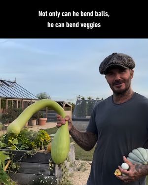 Image post by @9gag on Instagram