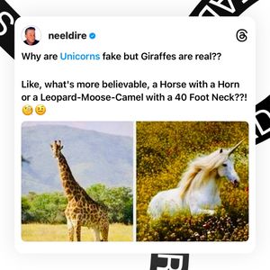 Image post by @neeldire on Instagram