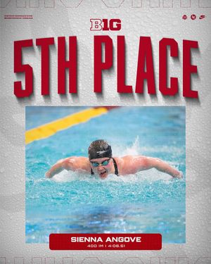 Image post by @ohiostswimdive on Instagram