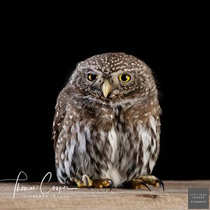 Image post by @lightboximages on Instagram