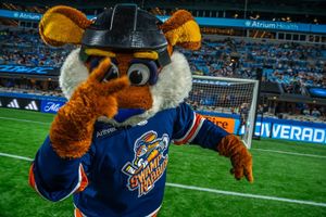 Image post by @stomperrabbit on Instagram