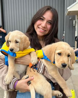 Image post by @canineorg on Instagram