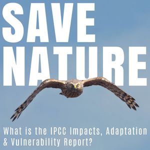 Image post by @rspb on Instagram