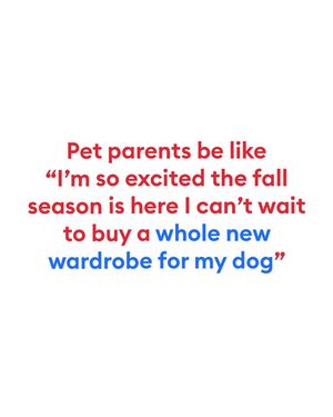 Image post by @petsmart on Instagram