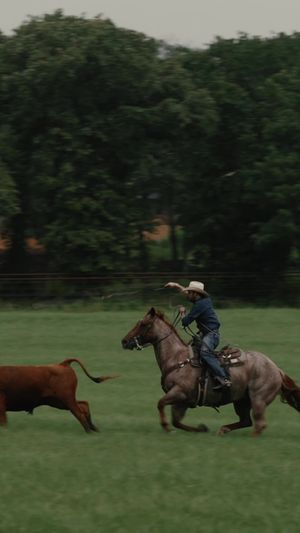 Video post by @TetonRidgeUSA on Facebook