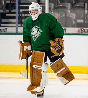 Image post by @goaliegearnerd on Instagram