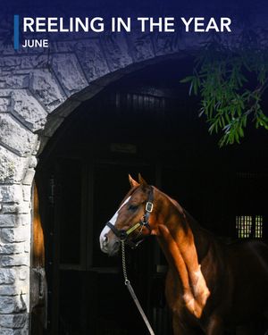 Image post by @coolmoreamerica on Instagram