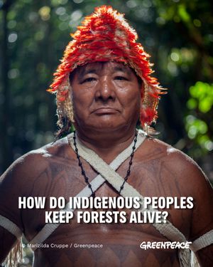 Image post by @greenpeace on Instagram