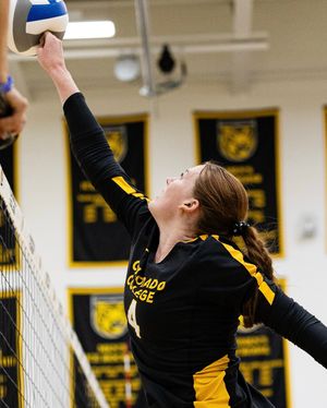 Image post by @daryl.batt on Instagram