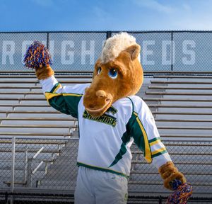 Image post by @skidmorecollege on Instagram