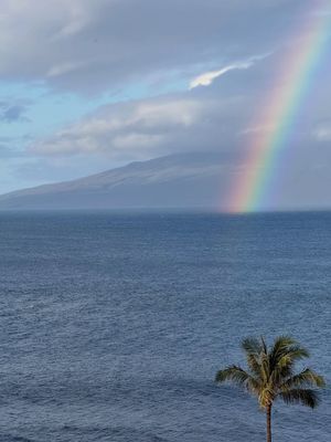 Image post by @natalieseelyy on Instagram