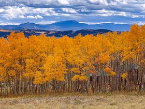 Image post by @9newsdenver on Instagram