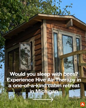 Image post by @hipcamp on Instagram