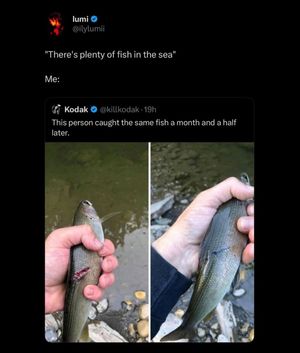Image post by @9gag on Instagram