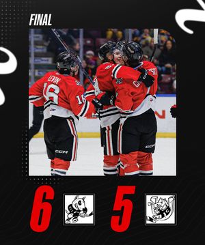 Image post by @ohlicedogs on Instagram