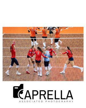 Image post by @caprellaassociatedphotos on Instagram