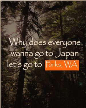 Video post by @kayak on TikTok
