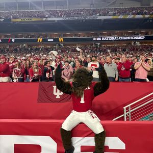 Image post by @hoosierthebison on Instagram