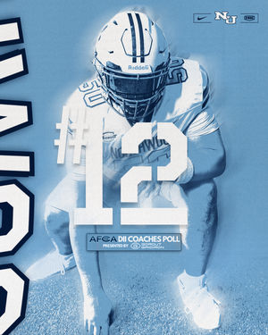 Image post by @nutimberwolves on Instagram