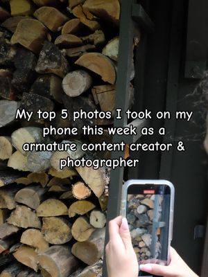 Video post by @sydburst on TikTok