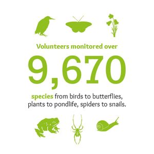 Image post by @rspb on Instagram