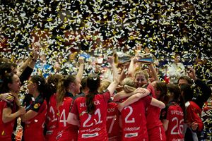 Image post by @iff_floorball on Instagram