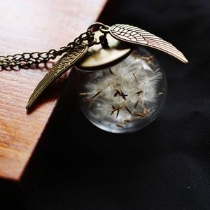 Image post by @leafyaffair on Instagram