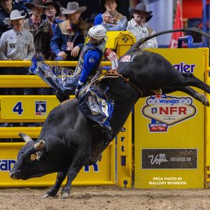 Image post by @prca_prorodeo on Instagram