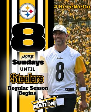 Image post by @steelernationcom on Instagram