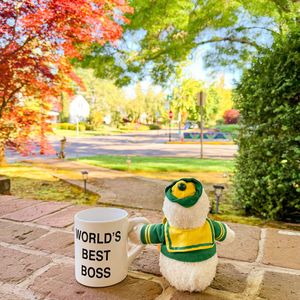 Image post by @uosojc on Instagram