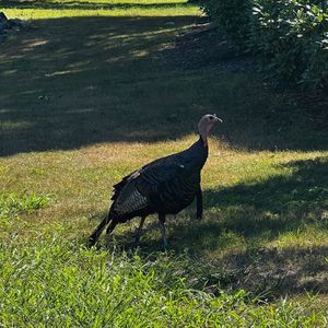 Image post by @rhodeislandcollege on Instagram