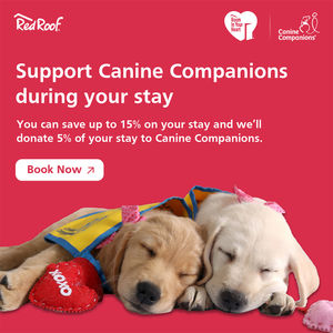 Image post by @canineorg on Instagram