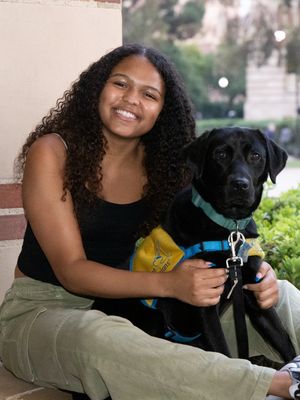 Image post by @canineorg on Instagram