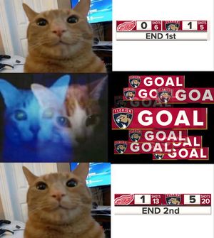 Image post by @flapanthers on Instagram