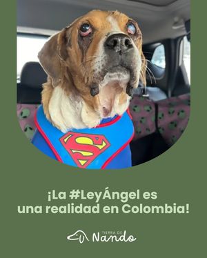 Image post by @tierradenando on Instagram