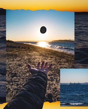 Image post by @willtrogdon on Instagram