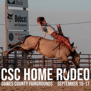 Image post by @csceagles on Twitter