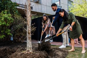 Image post by @northeastern on Instagram