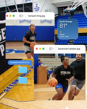 Image post by @setonhallwbb on Instagram