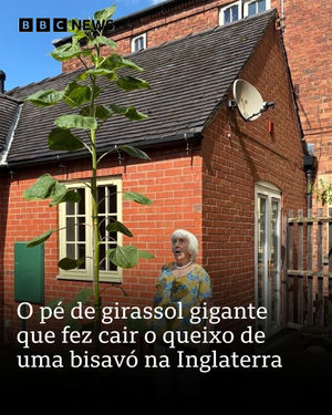 Image post by @bbcbrasil on Instagram