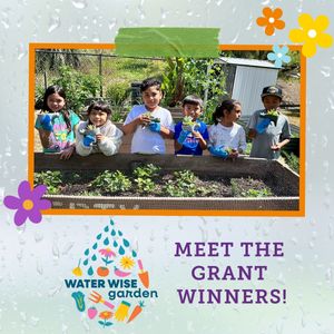 Image post by @kidsgardening on Instagram
