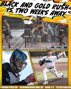 Image post by @umbcathletics on Instagram