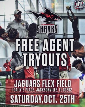 Image post by @jaxsharks on Instagram