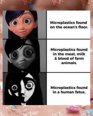 Image post by @greenpeaceusa on Instagram