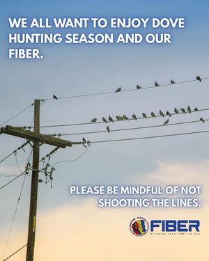 Image post by @TombigbeeFiber on Facebook